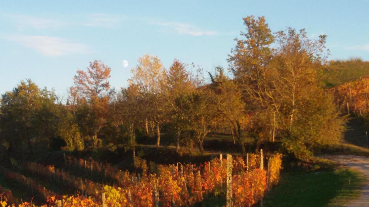 Cascina Torello Дольяни Экстерьер фото