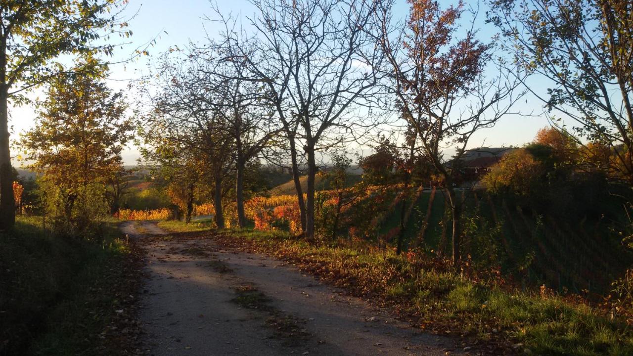 Cascina Torello Дольяни Экстерьер фото