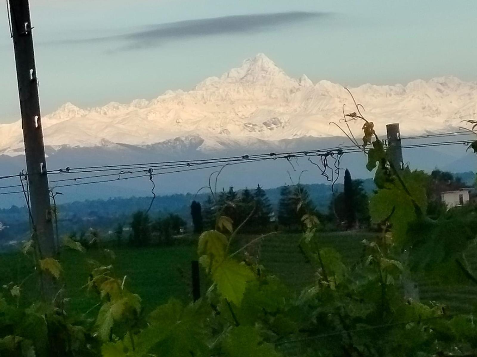 Cascina Torello Дольяни Экстерьер фото
