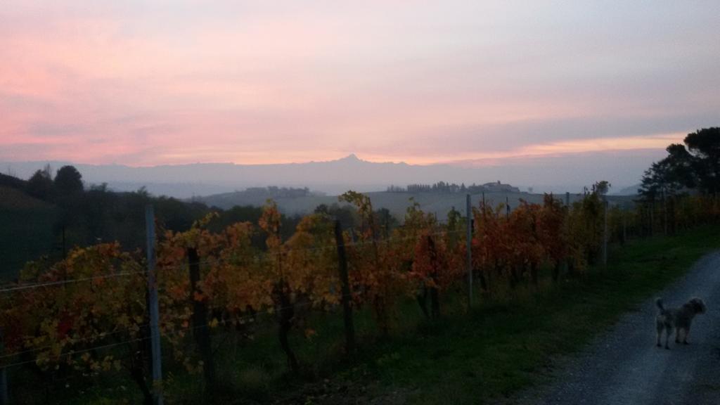 Cascina Torello Дольяни Экстерьер фото