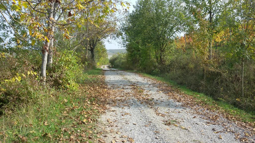 Cascina Torello Дольяни Экстерьер фото
