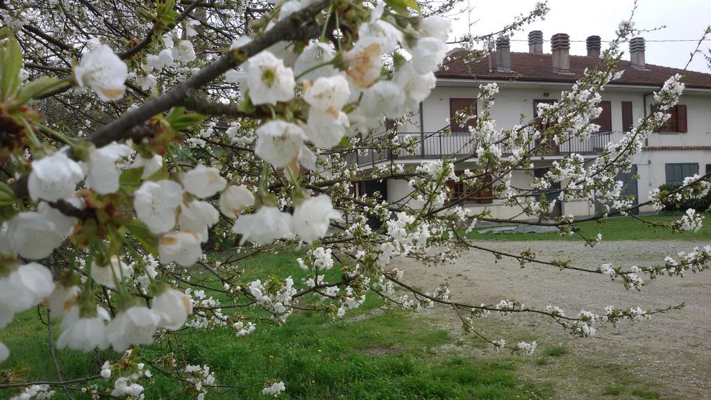 Cascina Torello Дольяни Экстерьер фото