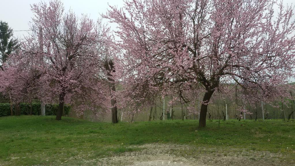 Cascina Torello Дольяни Экстерьер фото