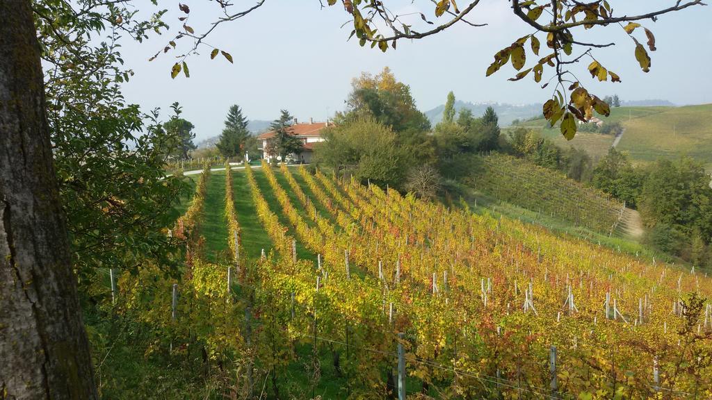 Cascina Torello Дольяни Экстерьер фото