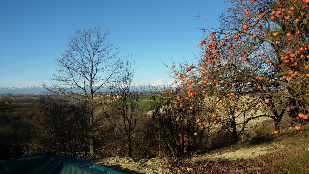 Cascina Torello Дольяни Экстерьер фото