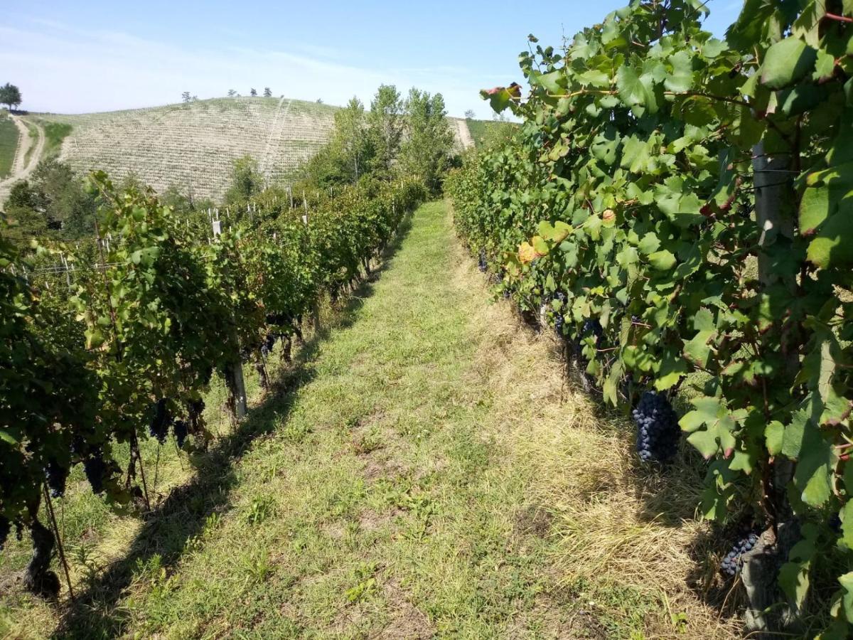 Cascina Torello Дольяни Экстерьер фото