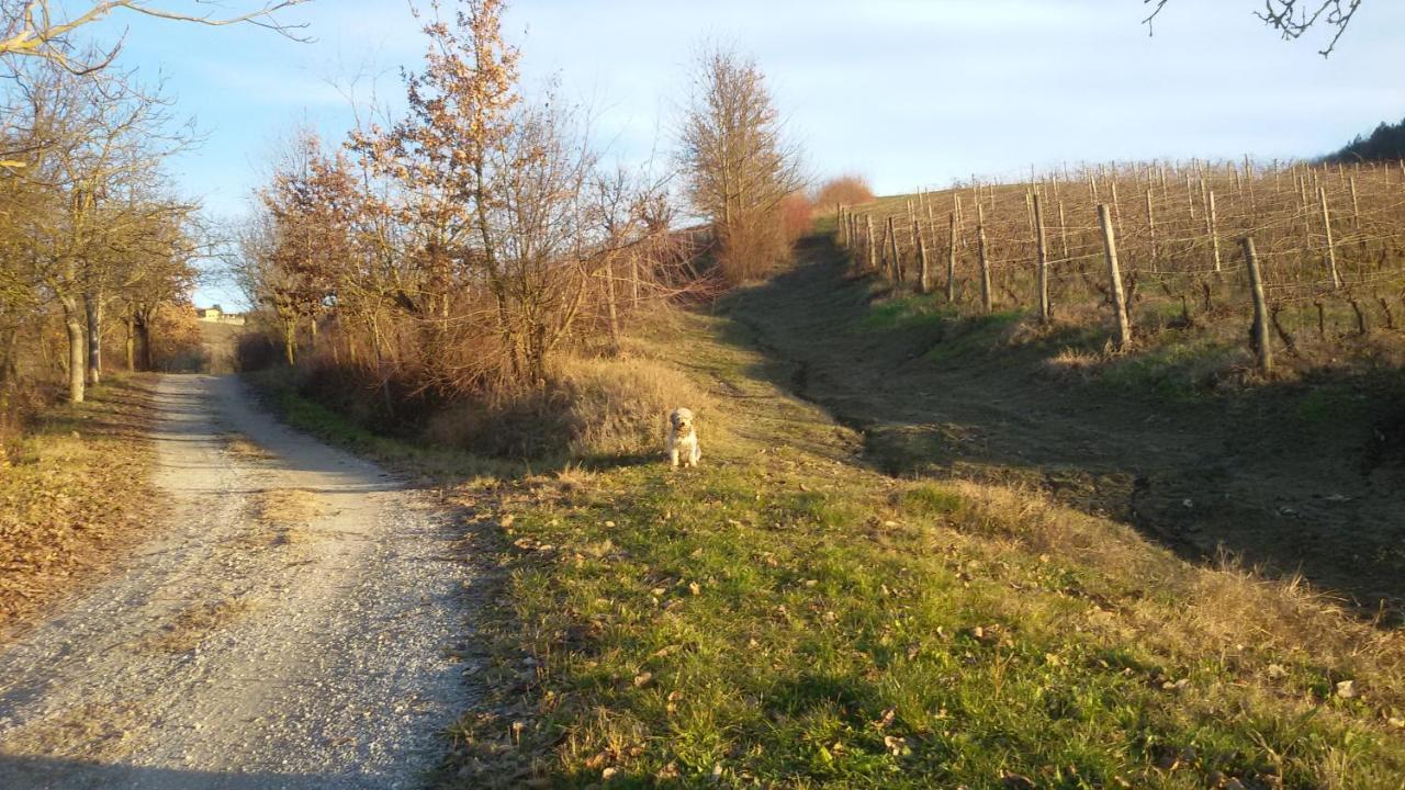 Cascina Torello Дольяни Экстерьер фото